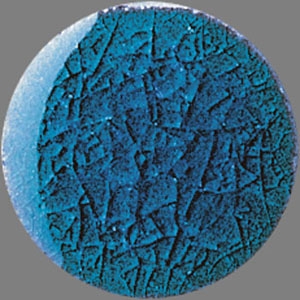 Нажмите чтобы увеличить изображение плитки Вставка Cementi 1ocb Borchia C Blue