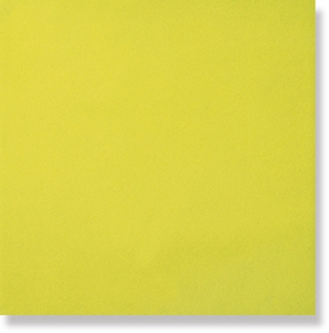 Нажмите чтобы увеличить изображение плитки Плитка Intensity Lime Pav.