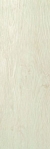 Plitka Frame Magnolia Lappato 19,5x59